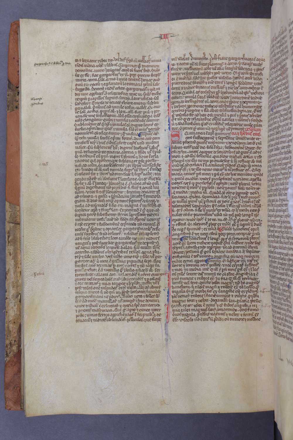 Folio 82 verso